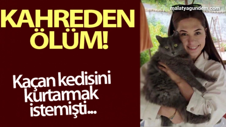 Genç doktorun kahreden ölümü: Kedisini kurtarmaya çalışırken düşüp öldü