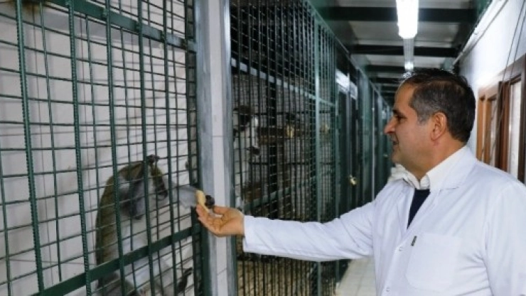 Hayvanat Bahçesinde Özel Kış Menüsü