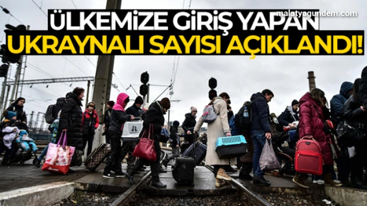İçişleri Bakan Yardımcısı ve Bakanlık Sözcüsü Çataklı'dan Ukrayna açıklaması