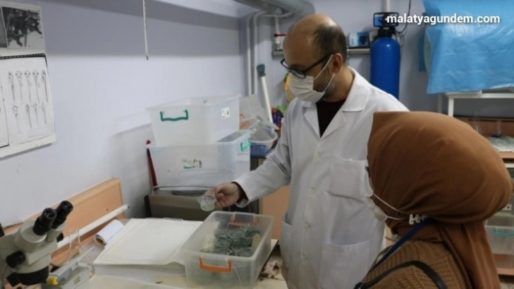 İlaçların olumsuz etkileri deney hayvanlar üzerinde araştırılıyor