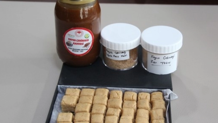 Kayısının Çekirdeğinden Kahve, Ezme Ve Zar Tozu Üretilecek