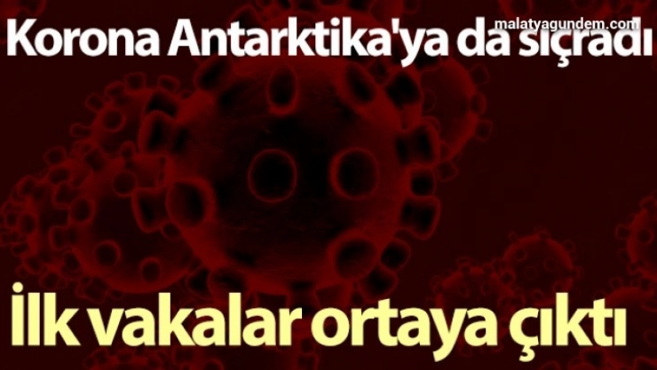 Korona Antarktika'ya da sıçradı