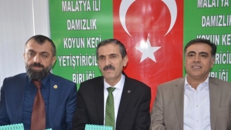 Küçükbaş Hayvanlarda Küpeleme Ve SOYBİS Çalışması