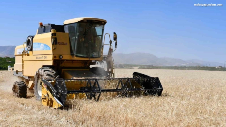 MAGİNDER Başkanı Karademir: 'Çiftçimizin alın teri kutsaldır'