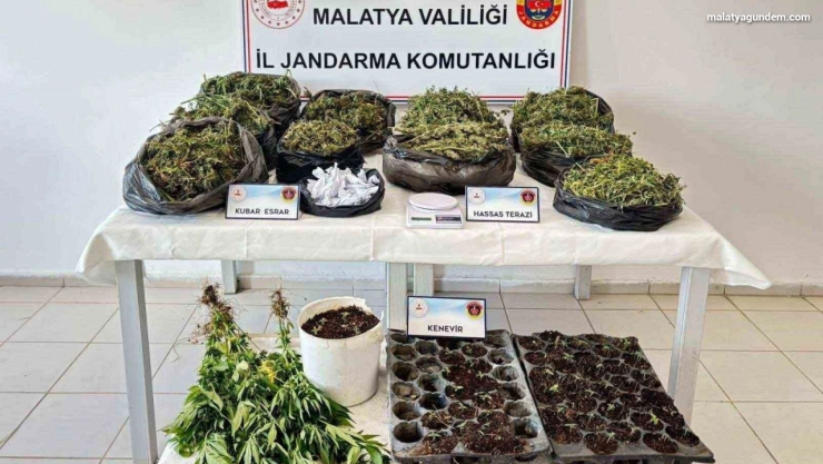 13 kilo esrar ele geçirildi 5 şahıs tutuklandı
