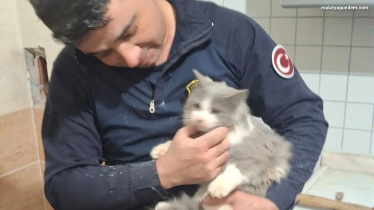 Malatya'da havalandırma boşluğuna düşen kedi kurtarıldı