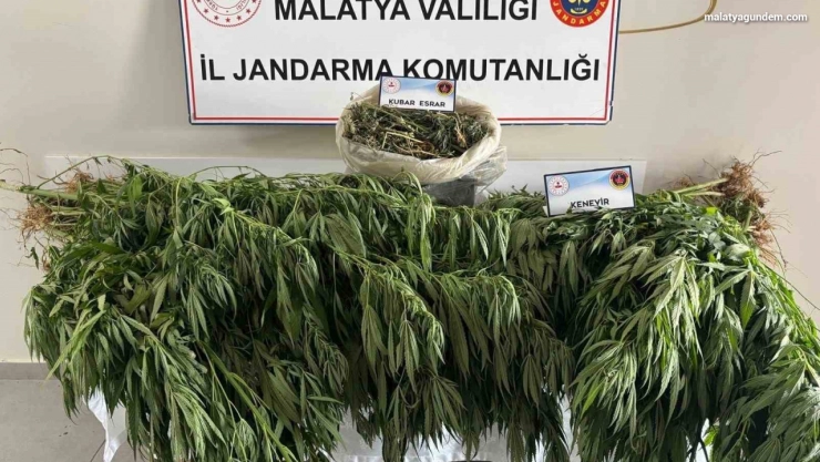 Malatya'da jandarmadan uyuşturucu operasyonu