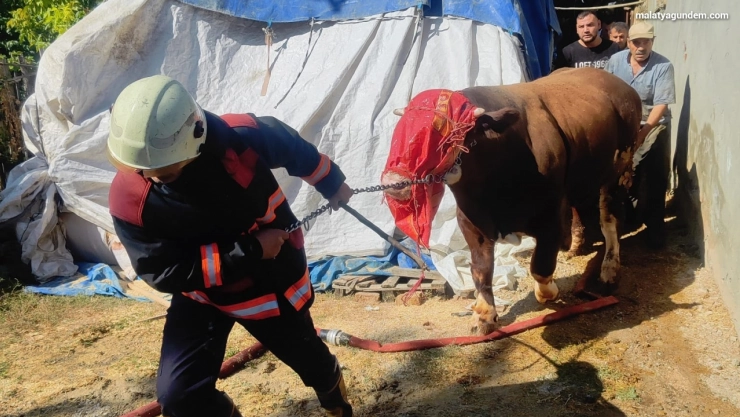 Malatya'da korkutan ahır yangını