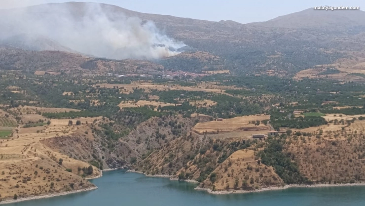 Malatya'da orman yangınına havadan müdahale