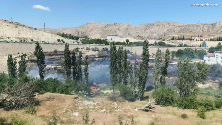 Malatya'da ot yangını