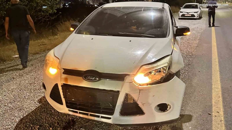 Malatya'da otomobilin çarptığı domuz telef oldu