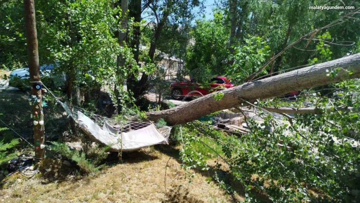 Şiddetli fırtına ağaçları devirdi