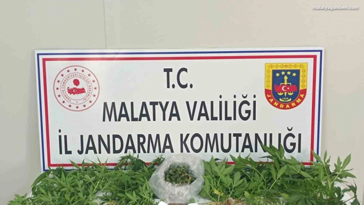 Uyuşturucu operasyonu: 3 tutuklama