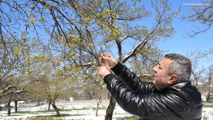 Malatya genelinde tablo çok kötü
