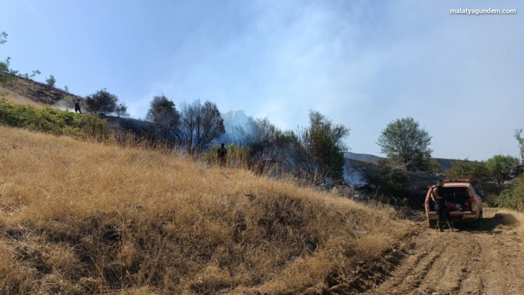 Orman yangını kontrol altına alındı