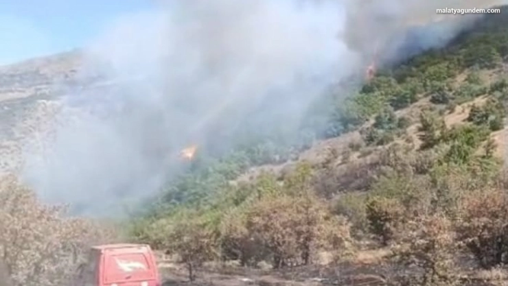 Malatya'daki orman yangını söndürüldü