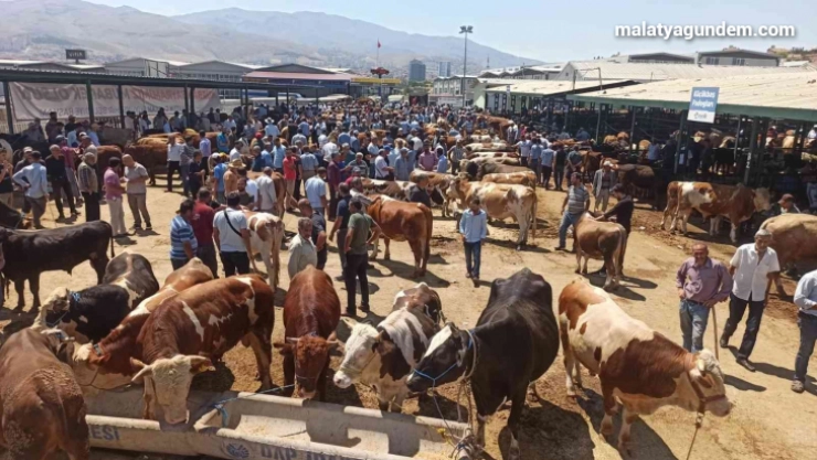 Kurban Pazarı'nda arife yoğunluğu