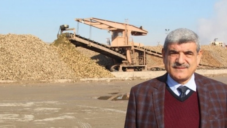 345 Bin Ton Pancar İşlendi