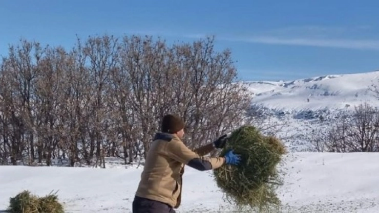 Yaban Hayvanları Unutulmadı