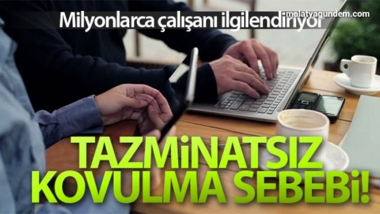 Mesai arkadaşına 'hayvan' deyince işten atıldı