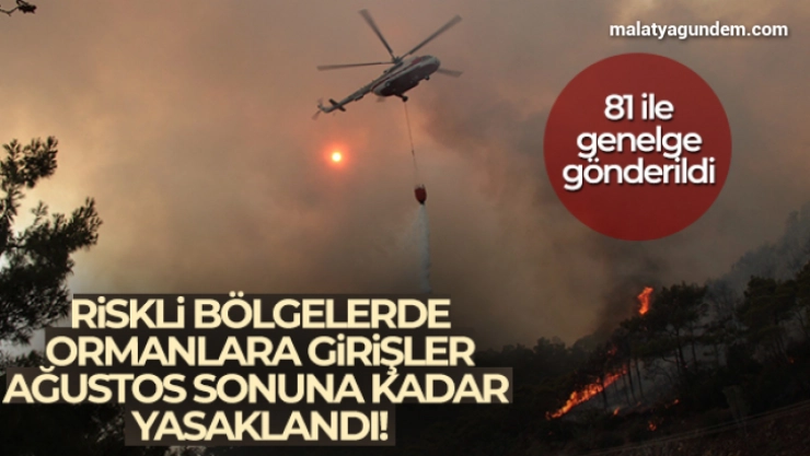 Orman yangını için riskli bölgelere girişler 31 Ağustos'a kadar yasaklandı