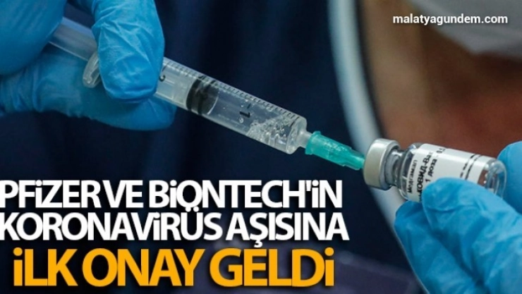 Pfizer ve Biontech'in koronavirüs aşısına ilk onay geldi