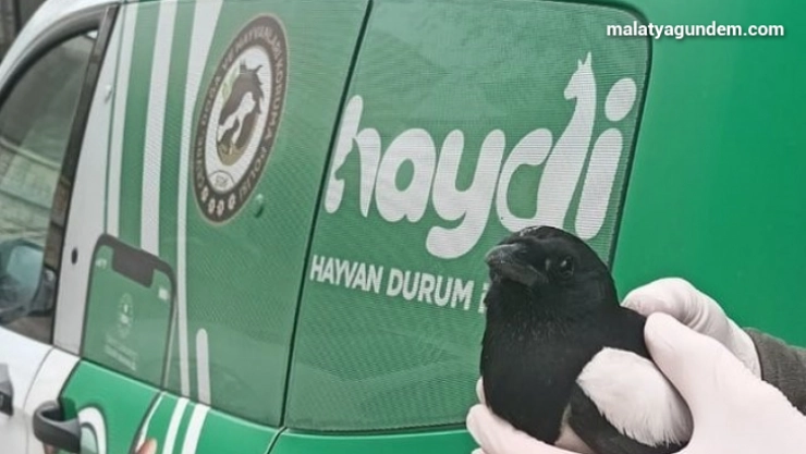 Polisten kargaya şefkat eli