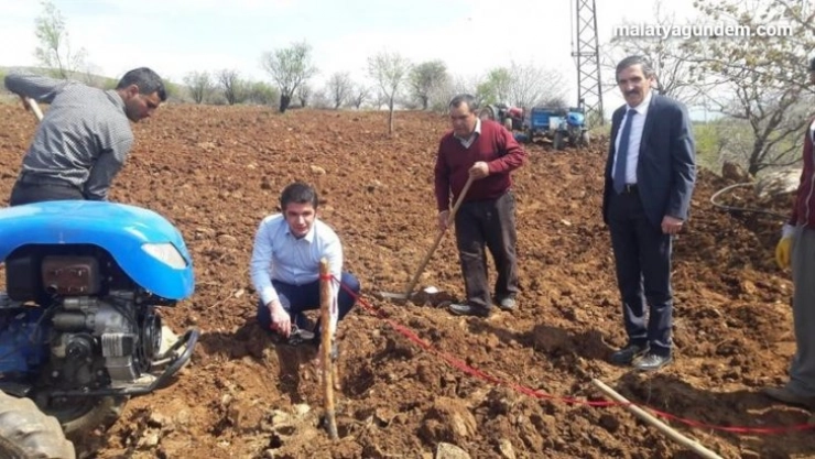 Asma fidanları yüzde elli hibeli