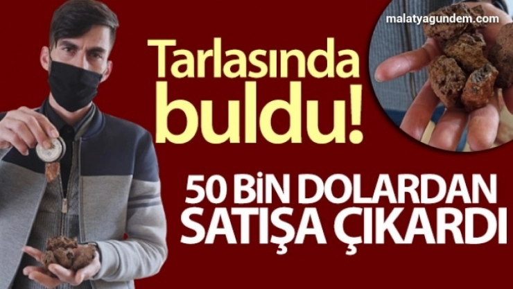 Siirt'te bir kişi, tarlasında bulduğu taşları 50 bin dolardan satışa çıkardı