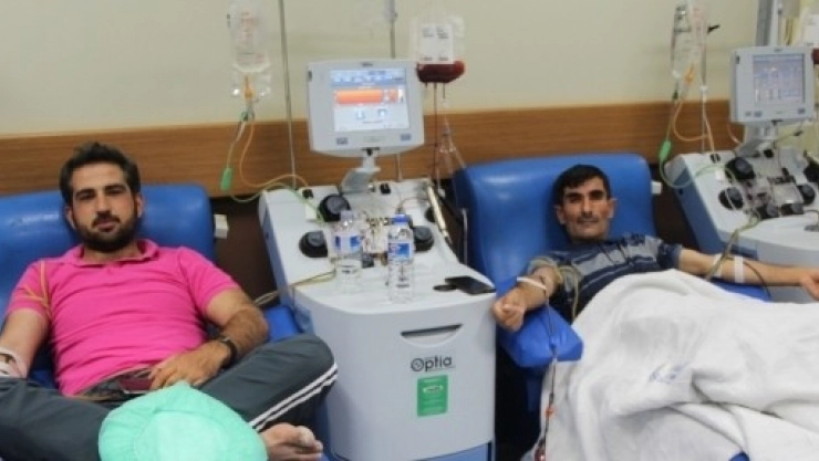 TÖTM'de 7 Hastaya Kök Hücre Nakli Yapıldı