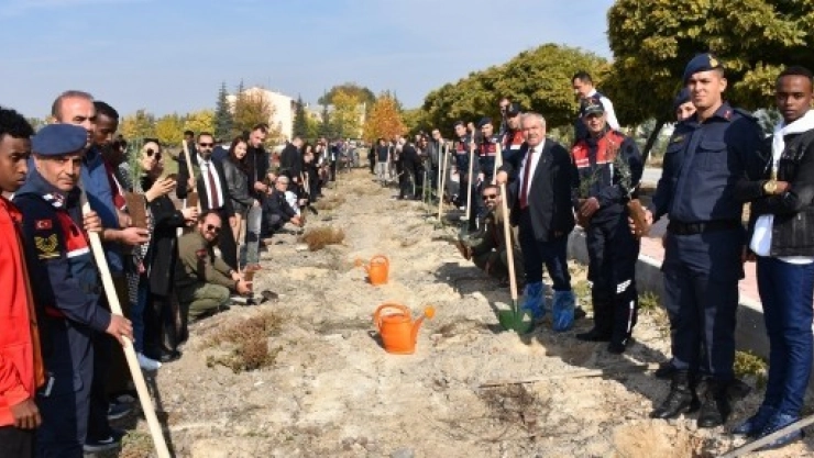 Turgut Özal Üniversitesi De Fidan Dikti