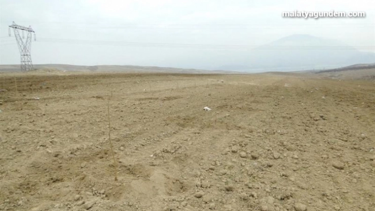 Üretime katkı için mera ve yaylaklar kiralanacak