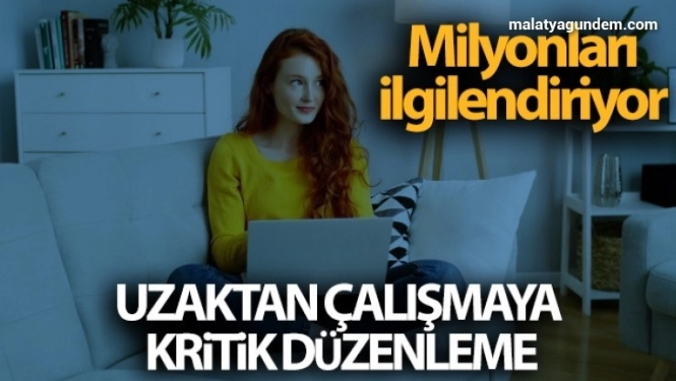 Uzaktan Çalışma Yönetmeliği Resmi Gazete'de yayımlandı