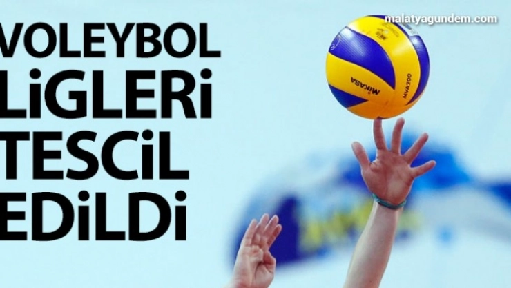 Voleybol ligleri tescil edildi