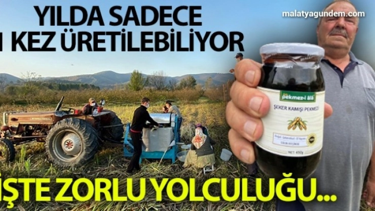 Yılda 1 kez üretilebilen şeker kamışı pekmezinin zorlu yolculuğu
