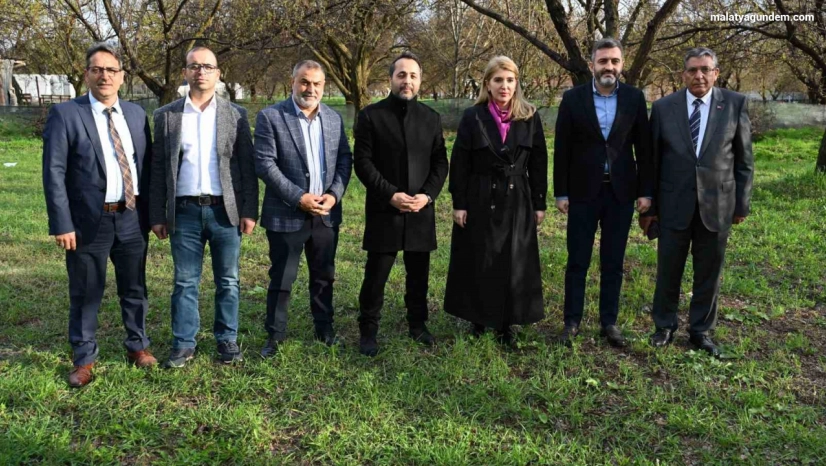 AK Parti milletvekillerinden Malatya'da kayısı incelemesi: 'Üreticimizin yanındayız'