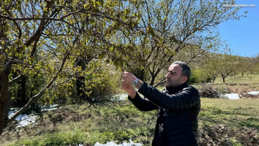 Ulutaş Üreticilerimiz mağdur edilmeyecektir