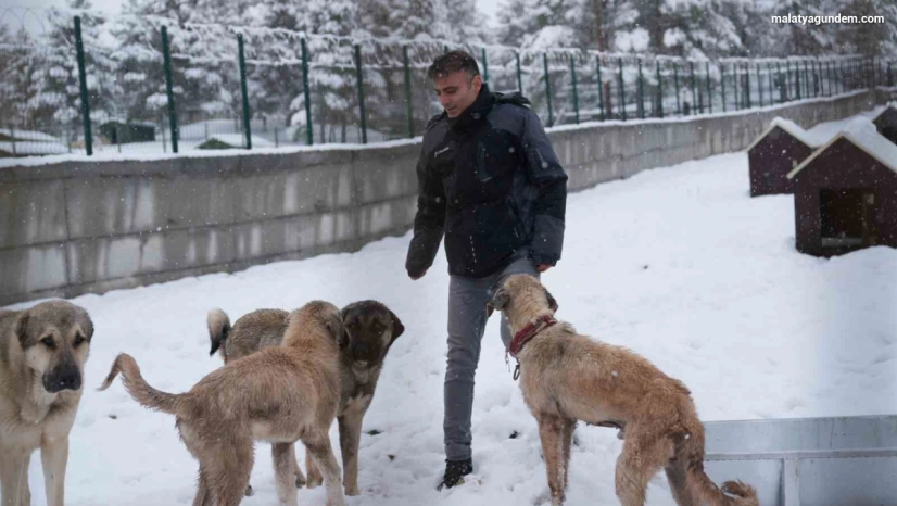 Battalgazi'de Malatya'nın ikinci hayvan barınağı hizmete başladı