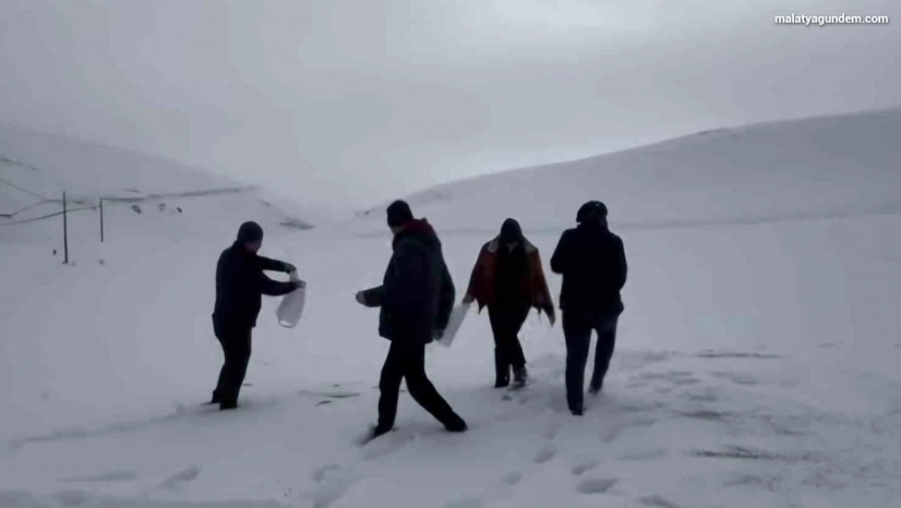 Darende'de öğretmen ve öğrencilerden yaban hayvanlarını unutmadı