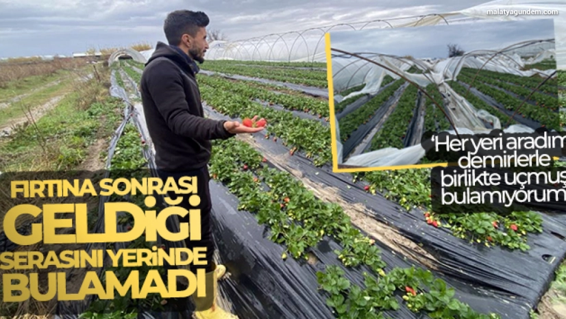 Fırtına sonrası geldiği serasını yerinde bulamadı