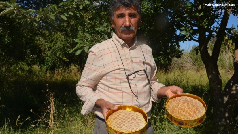 Malatya'da bal hasadı başladı