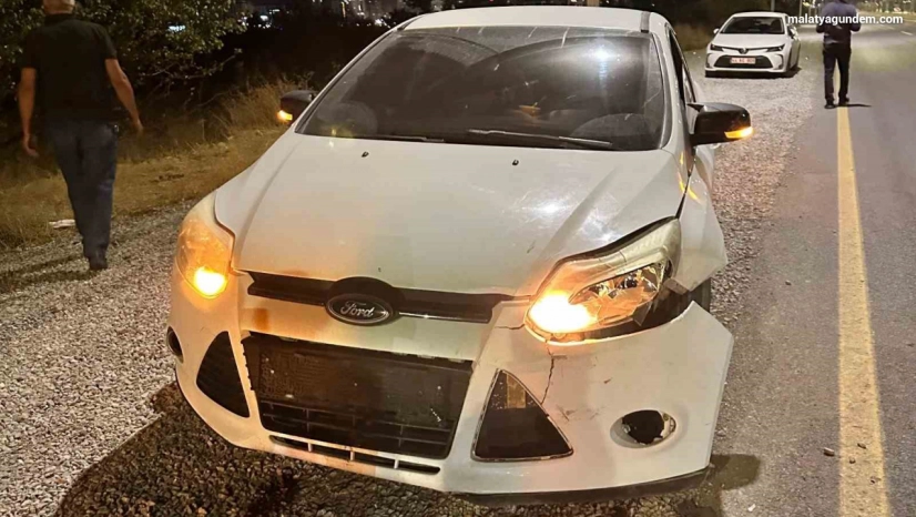 Malatya'da otomobilin çarptığı domuz telef oldu