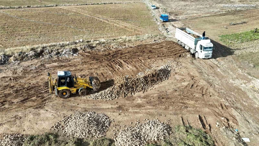 Şeker pancarında yüksek verim çiftçinin yüzünü güldürdü