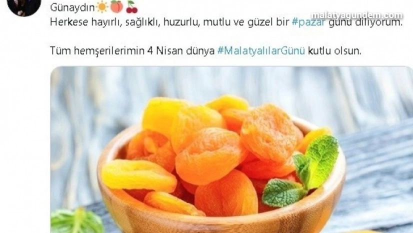 Malatyalılar günü kutlamaları sanalda