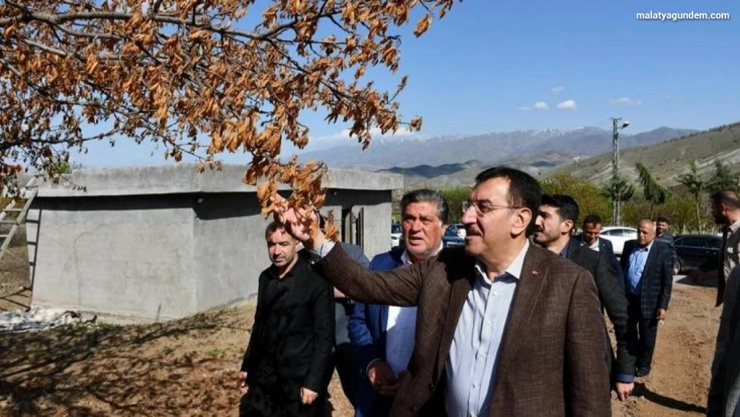 Milletvekili Tüfenkci'den zirai don açıklaması