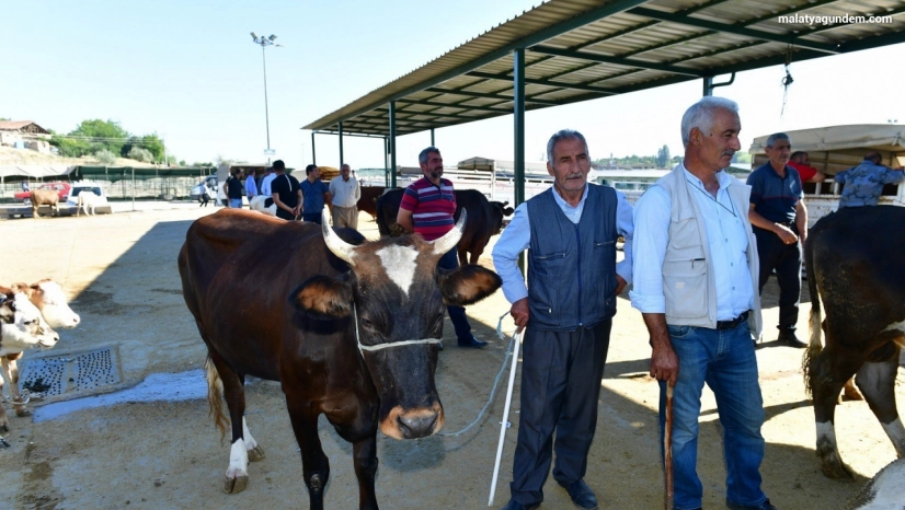 Yeşilyurt Belediyesi 41 noktada kurban satış ve kesim yeri belirledi