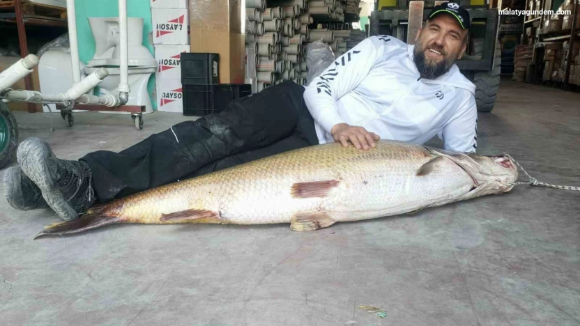 1 buçuk metrelik balık oltaya takıldı