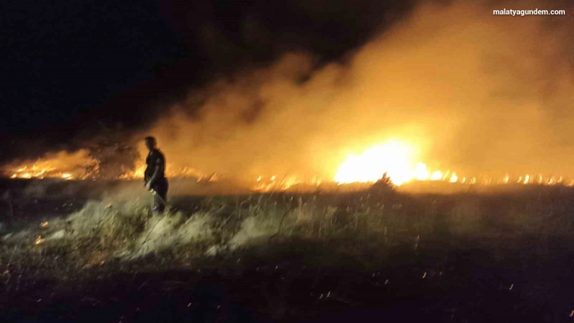 Akçadağ'da bahçe ve sazlık yangını: 25 Kayısı ağacı zarar gördü