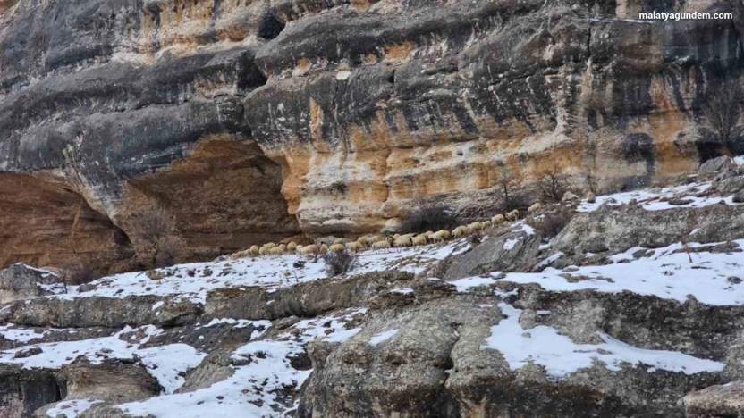 Bin 600 rakımda sürülerin yolculuğu