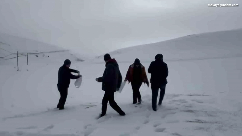 Darende'de öğretmen ve öğrencilerden yaban hayvanlarını unutmadı